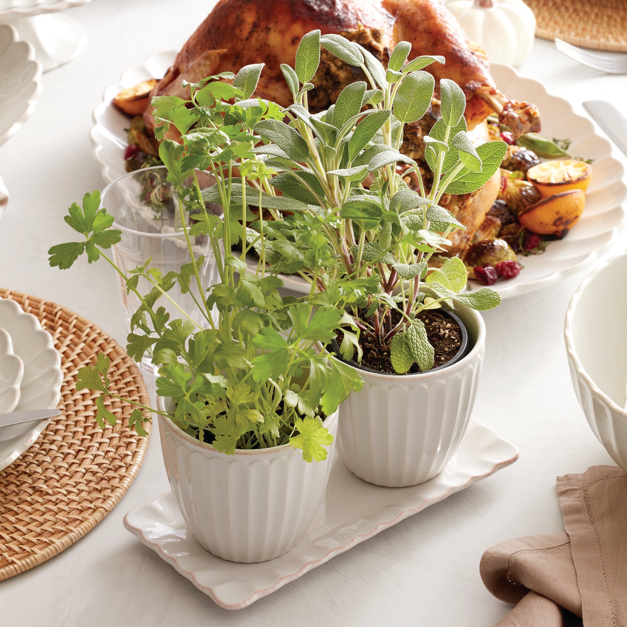Lenox Heritage Lenox Heritage French Perle Scallop White 3-Piece Herb Pot Set - Image 5
