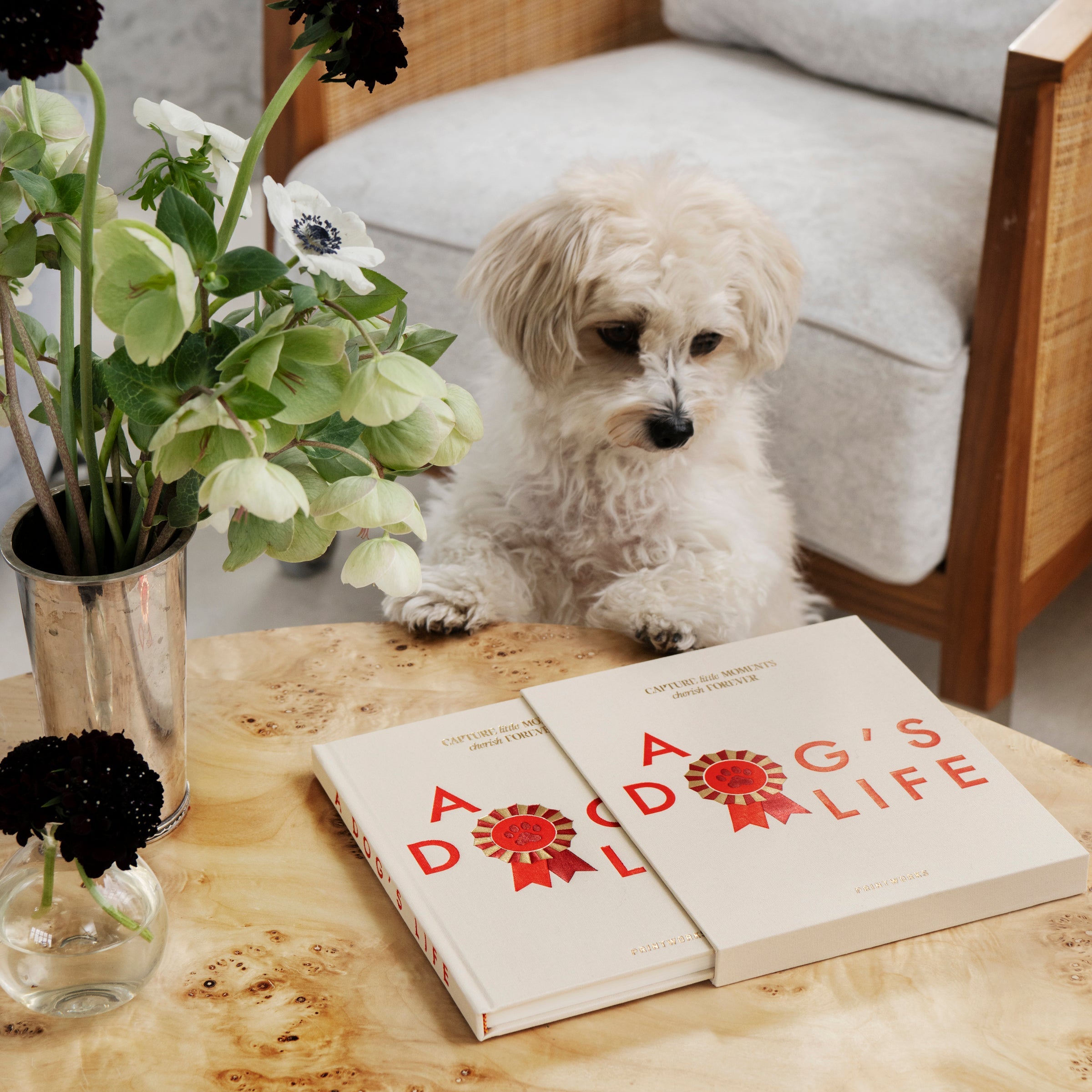 Lenox Heritage Lenox Heritage A Dog's Life Fill-In Journal - Image 5