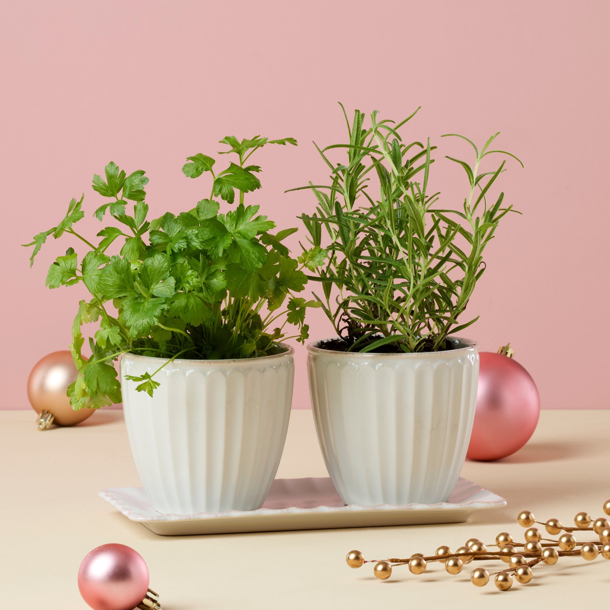 Lenox Heritage Lenox Heritage French Perle Scallop White 3-Piece Herb Pot Set - Image 4
