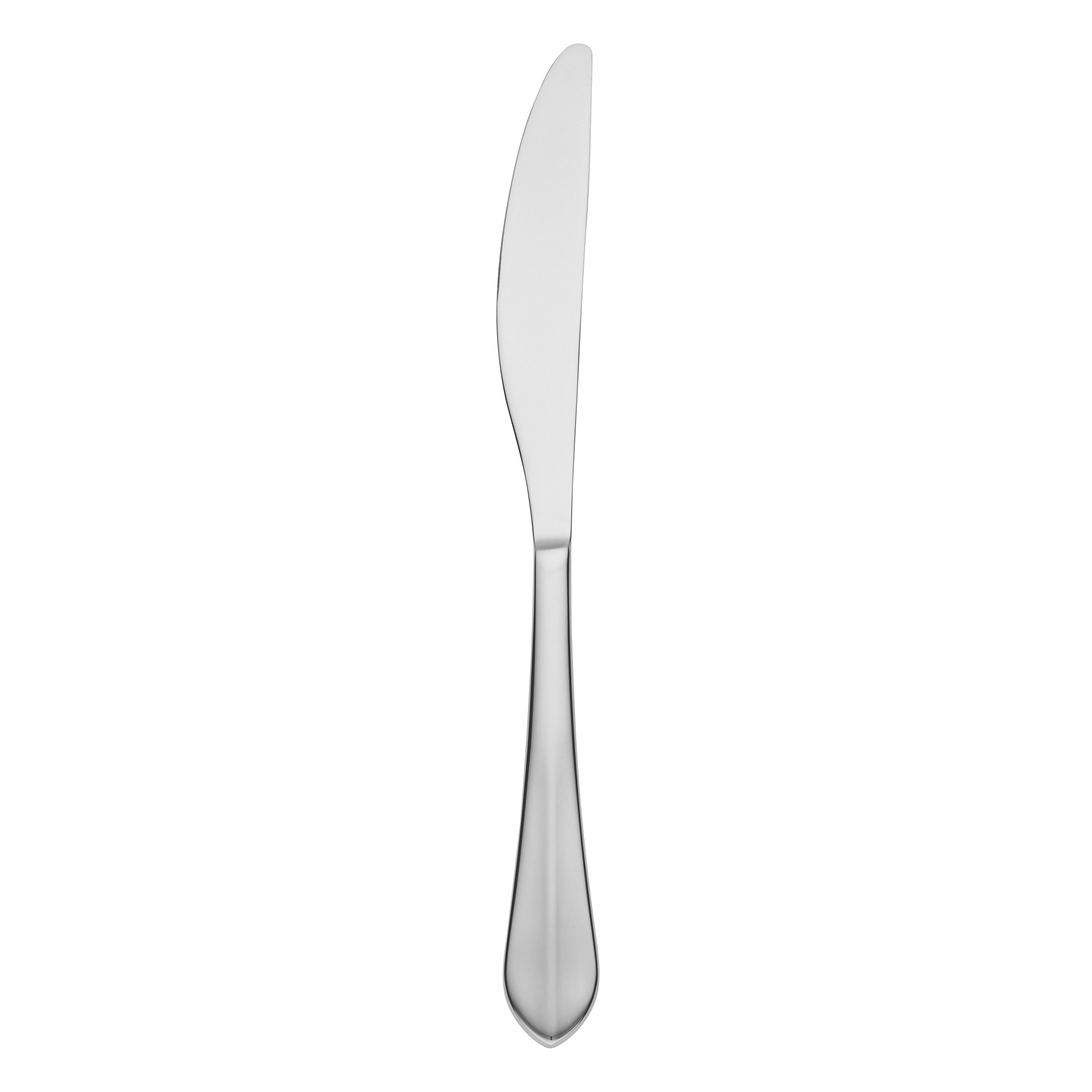 Lenox Heritage Lenox Heritage Greenpond Satin Dinner Knife