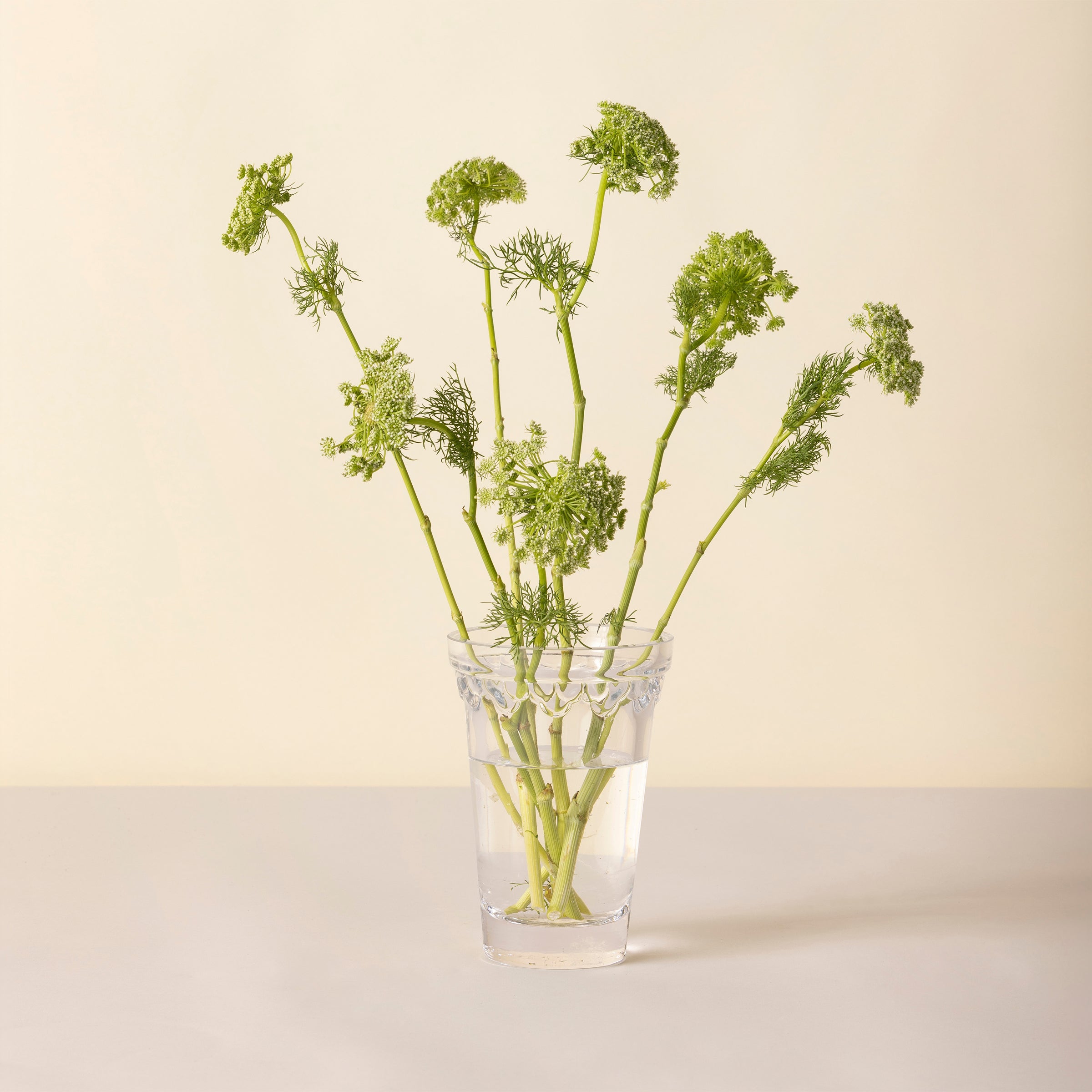 Lenox Heritage Lenox Heritage Kobenhavner Small Clear Glass Vase - Image 2